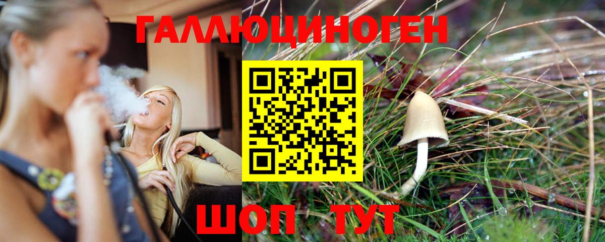 Ноябрьск  Псилоцибиновые грибы прущие грибы  Вход с VPN  Псилоцибиновые грибы мицелий 